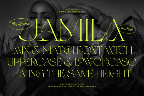 Jamila Display Font for Campaign Headlines and Branding